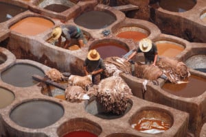 tannerie