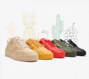 baskets MoEa