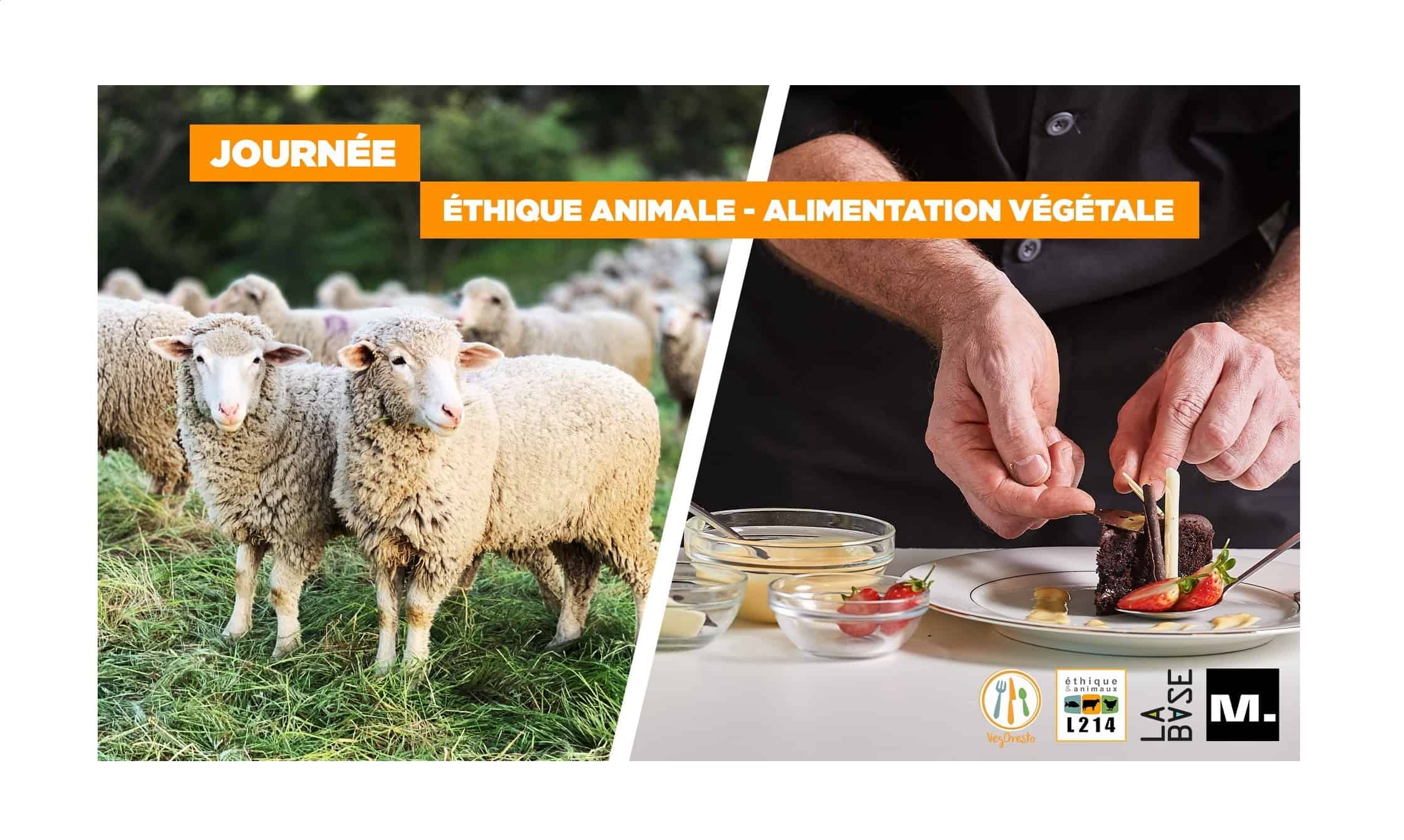 journée alimentation végétale