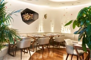 salle restaurant Camélia