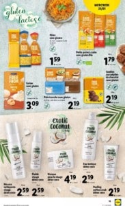 lidl catalogue